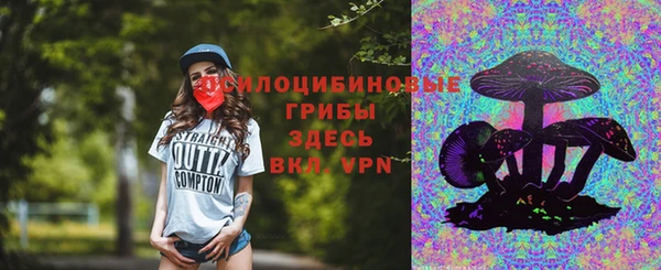 твердый Вязьма