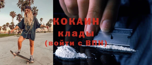 твердый Вязьма